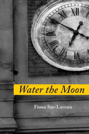 water-the-moon1.jpg