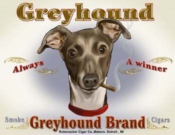 greyhound.jpg