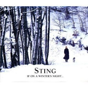 stingwintersnight.jpg